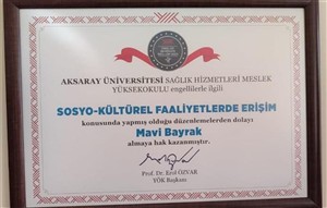 Engelli Erişilebilirliği